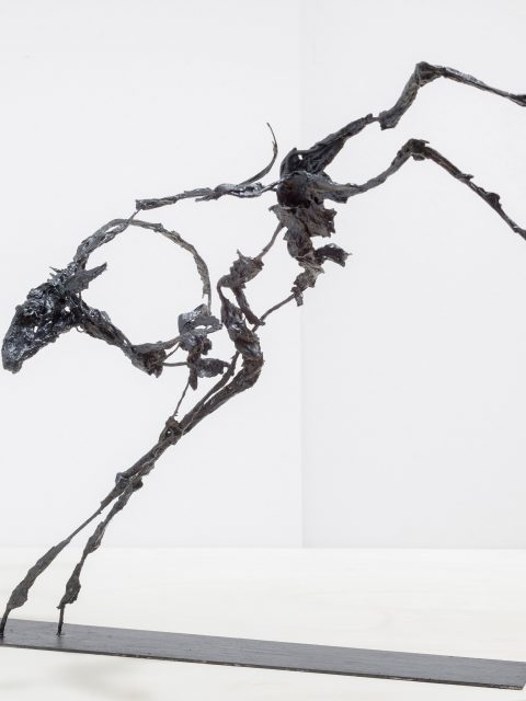 Springende Ziege 2017