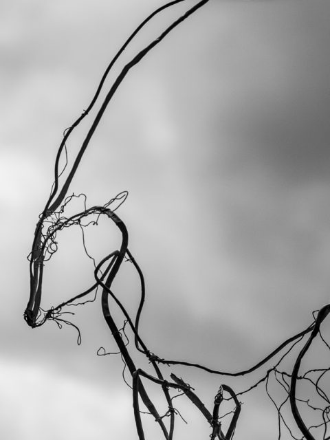 Große Kupferziege – Auenkunst 2018